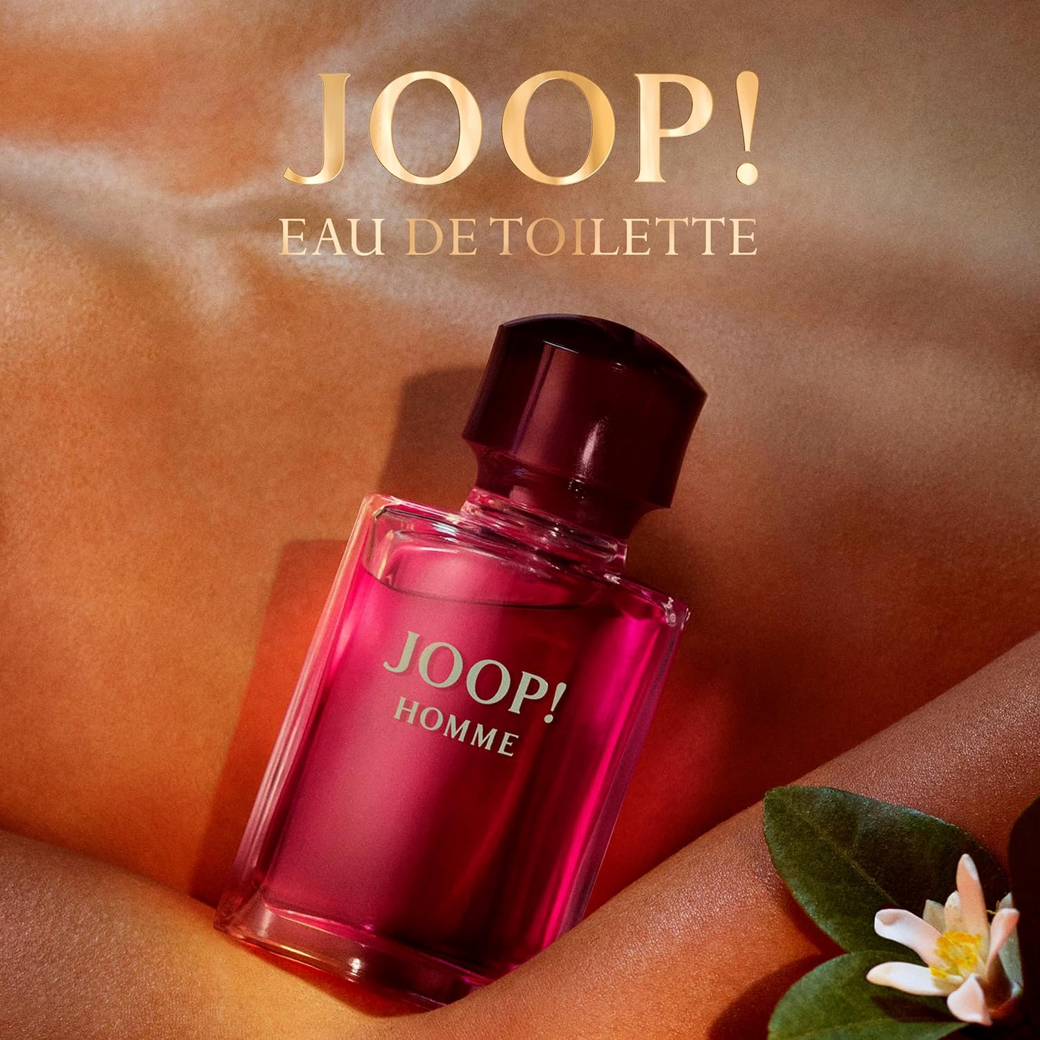 JOOP! Homme For Men Eau De Toilette 75ml