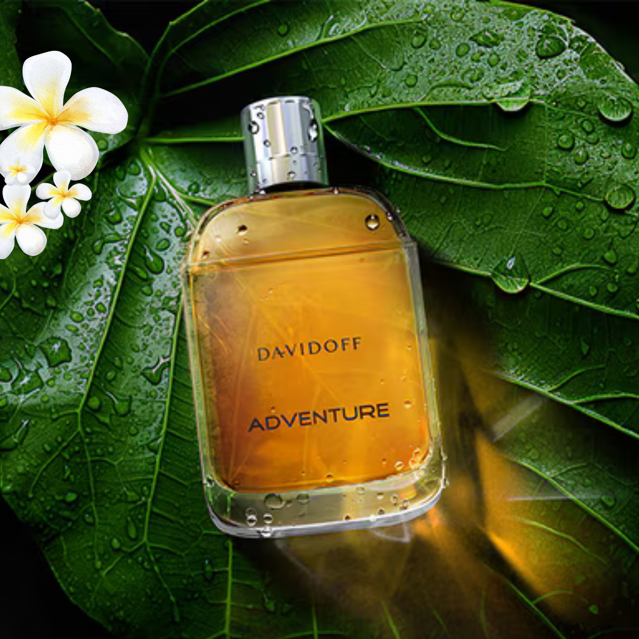 Davidoff Adventure For Men Eau De Toilette 100ml