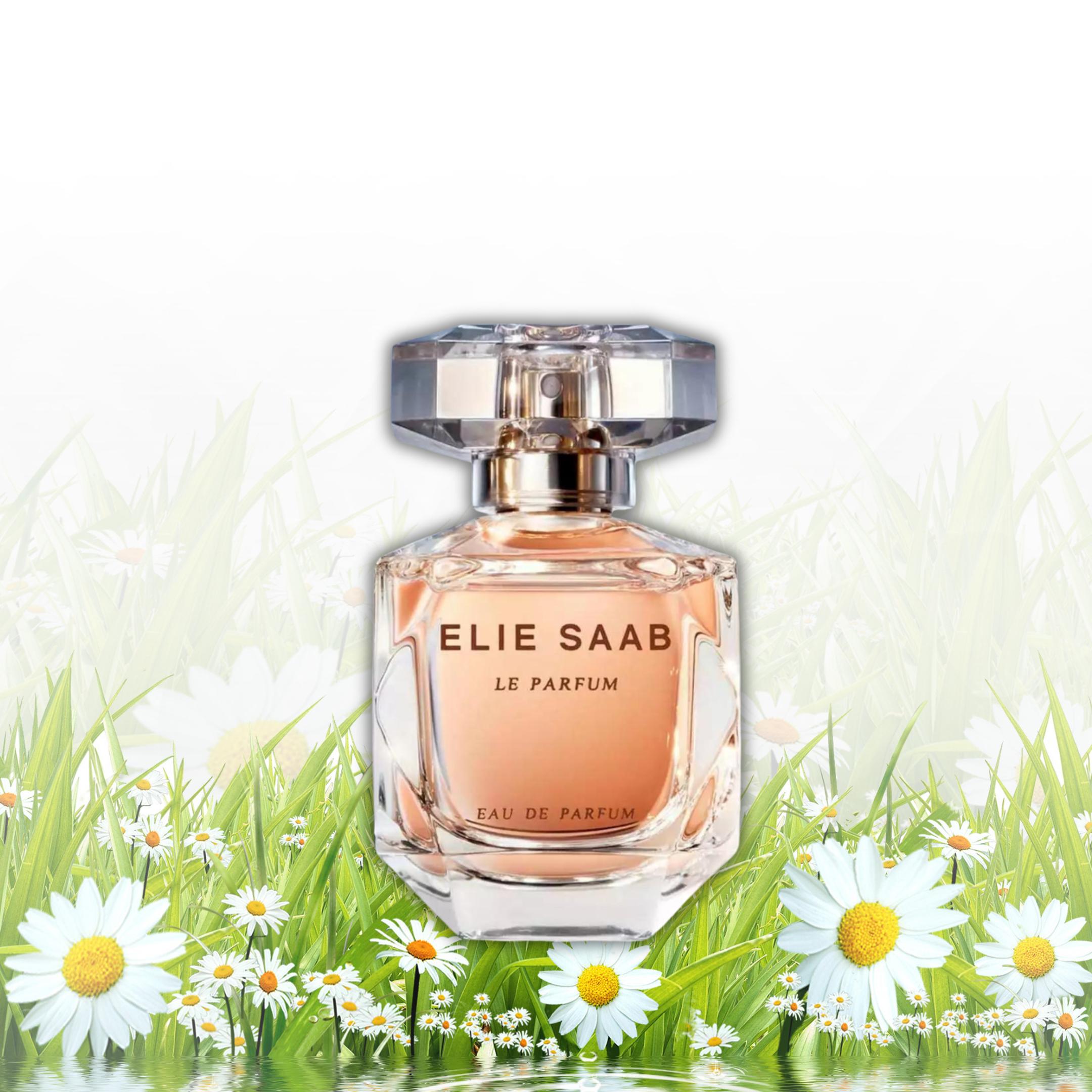 Elie Saab Le Parfum For Women Eau De Parfum 90ml