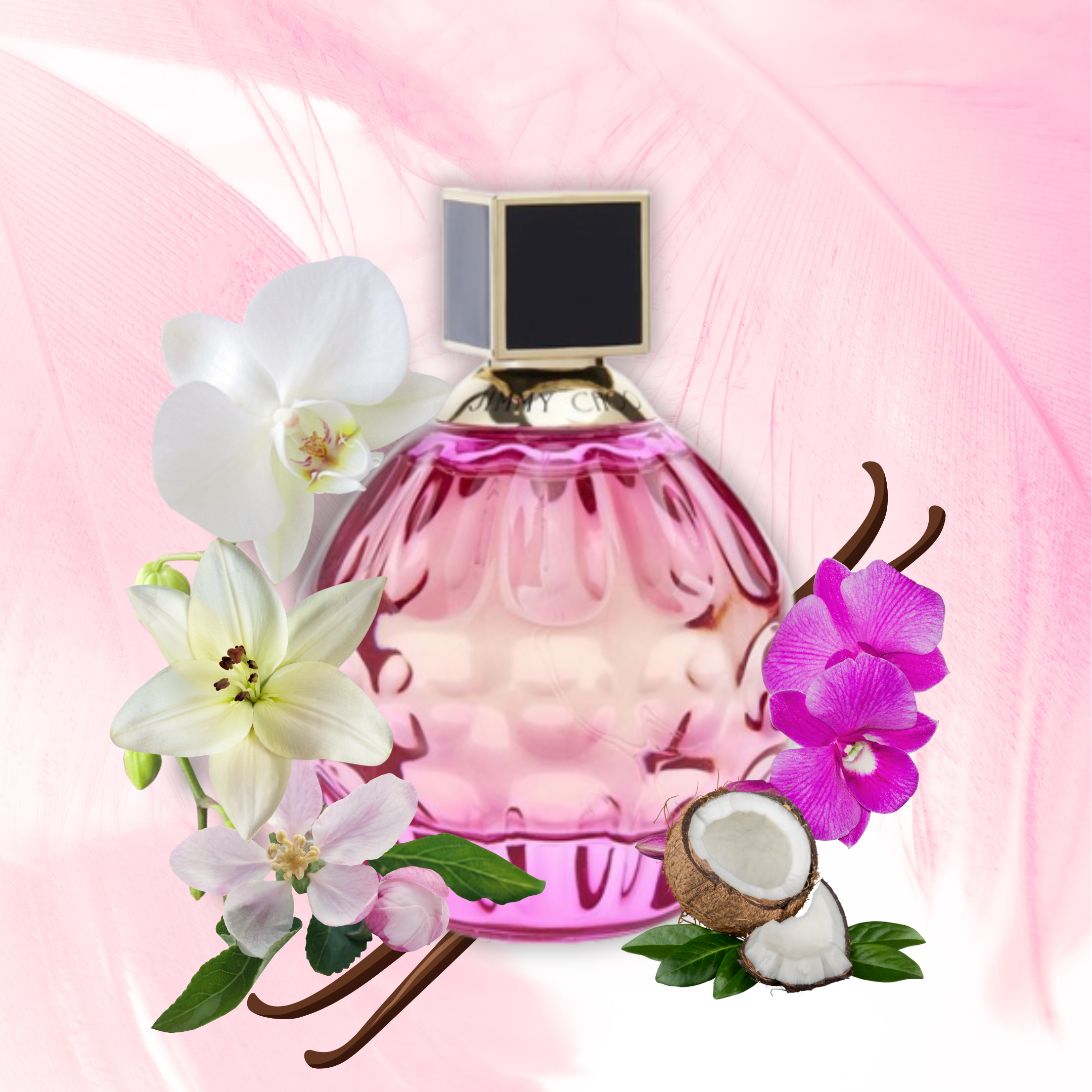 Jimmy Choo Rose Passion For Women Eau De Parfum 100ml